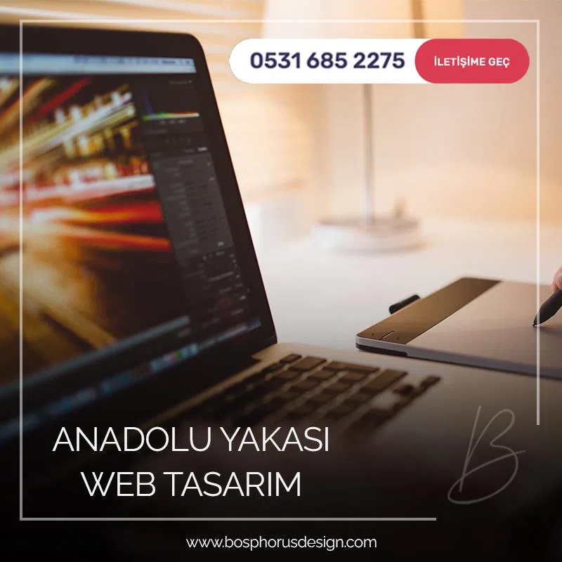 Anadolu yakası web tasarım